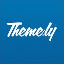 Themely Promo Code